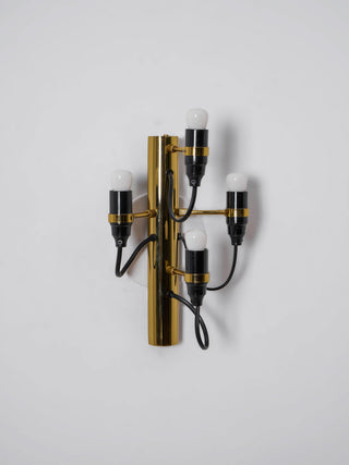 Fruit Industrial Metal Wall Light