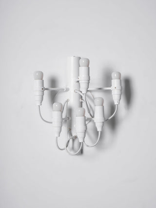 Fruit Industrial Metal Wall Light