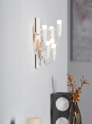 Fruit Industrial Metal Wall Light