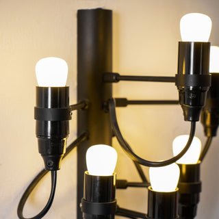Fruit Industrial Metal Wall Light