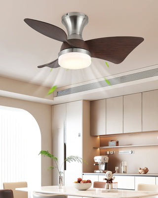 Aero Modern Brass  Wood Ceiling Fan Light