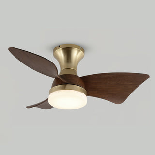 Aero Modern Brass  Wood Ceiling Fan Light