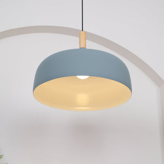 Acorn Minimalist Aluminum Pendant Light
