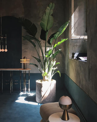 Comet Minimalist Alabaster Table Light