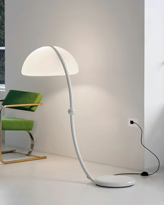 Arc Glow Minimalist Acrylic Floor Light