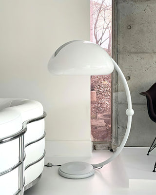 Arc Glow Minimalist Acrylic Floor Light