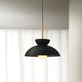 Augustus Black Resin Pendant Light