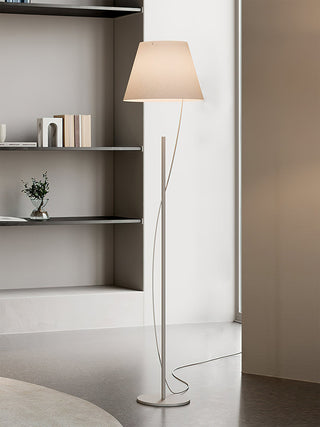 Aurora Whisper Minimalist Iron Floor Light