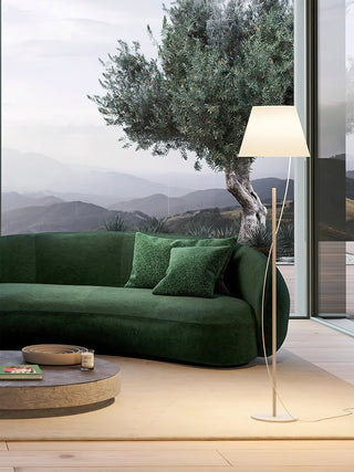 Aurora Whisper Minimalist Iron Floor Light