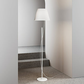 Aurora Whisper Minimalist Iron Floor Light