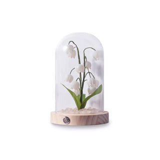 Lily Cloche-dome Wood Night Light