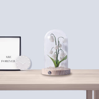 Lily Cloche-dome Wood Night Light
