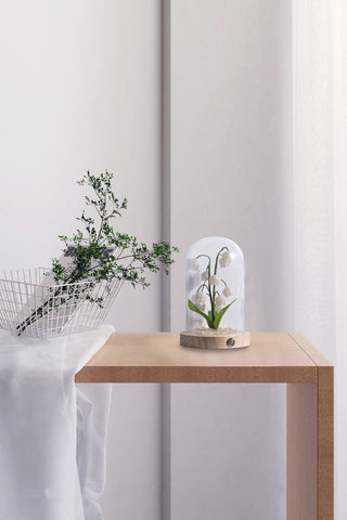 Lily Cloche-dome Wood Night Light