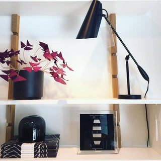 Birdy Classic Steel Table Light
