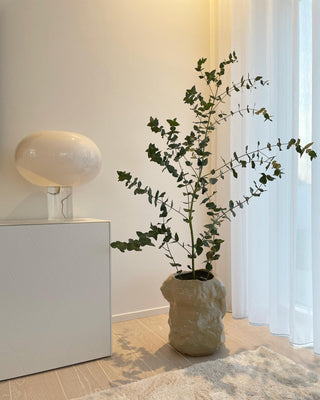 Milo Minimalist Opal Glass Table Lamp