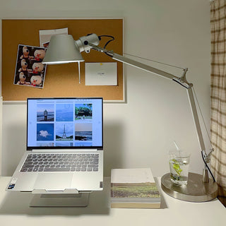 Bud Industrial Metal Desk Lamp