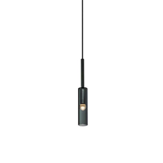 Charlot Smoked Glass Pendant Light
