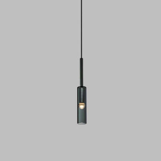 Charlot Smoked Glass Pendant Light