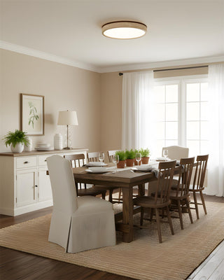 Fian Modern Acrylic Ceiling Lamp