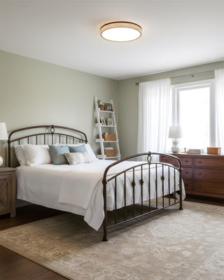 Fian Modern Acrylic Ceiling Lamp