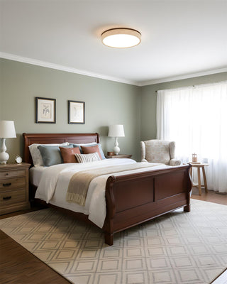 Fian Modern Acrylic Ceiling Lamp