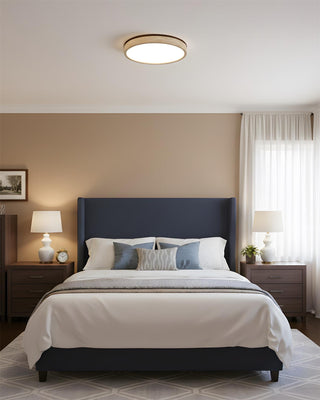 Fian Modern Acrylic Ceiling Lamp