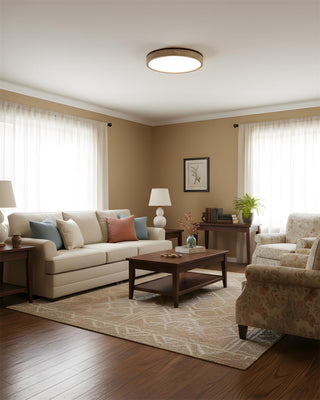 Fian Modern Acrylic Ceiling Lamp