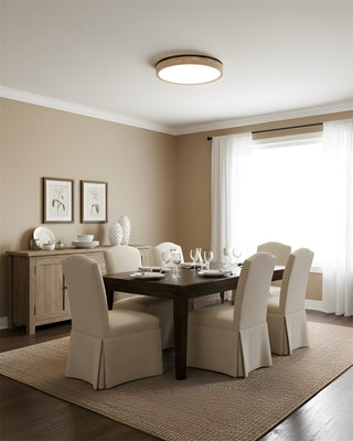 Fian Modern Acrylic Ceiling Lamp