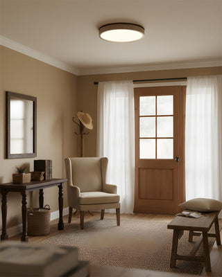 Fian Modern Acrylic Ceiling Lamp