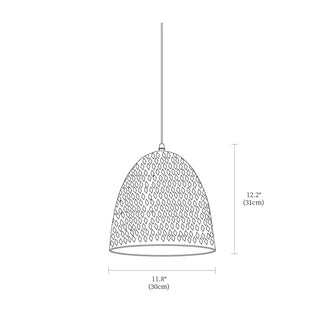Rusty Bold Iron Pendant Light