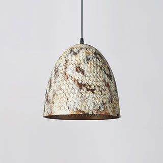 Rusty Bold Iron Pendant Light
