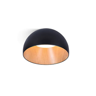 Duo Dual-Tone Dome Ceiling Light