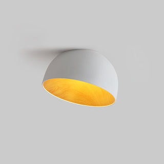Duo Dual-Tone Dome Ceiling Light