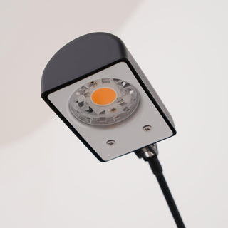 Apex Flex Minimalist Metal Floor Light