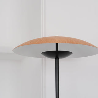 Directional Contemporary Aluminum Floor Light