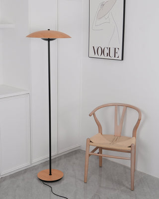 Directional Contemporary Aluminum Floor Light
