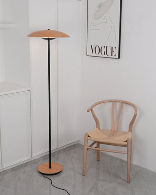 Directional Contemporary Aluminum Floor Light