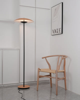 Directional Contemporary Aluminum Floor Light