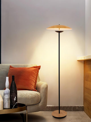 Directional Contemporary Aluminum Floor Light