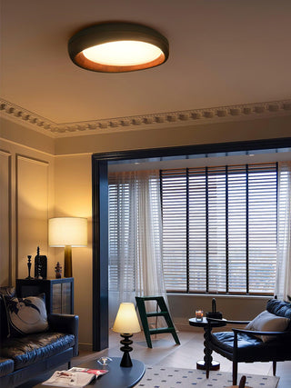Ovala Organic Wood Ceiling Light