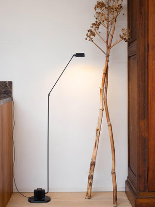 Apex Flex Minimalist Metal Floor Light