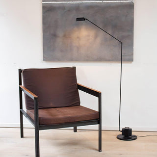 Apex Flex Minimalist Metal Floor Light