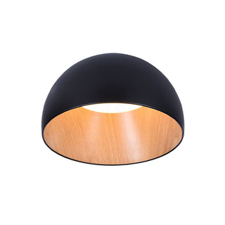 Duo Dual-Tone Dome Ceiling Light