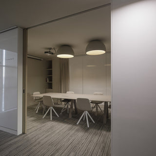 Duo Dual-Tone Dome Ceiling Light