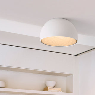 Duo Dual-Tone Dome Ceiling Light