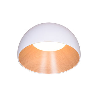 Duo Dual-Tone Dome Ceiling Light