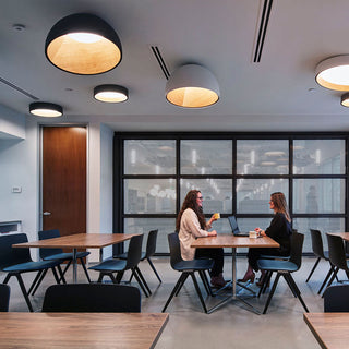 Duo Dual-Tone Dome Ceiling Light