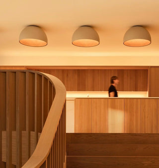Duo Dual-Tone Dome Ceiling Light