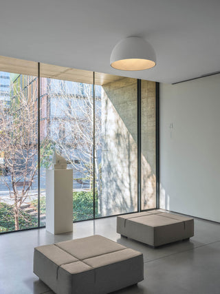 Duo Dual-Tone Dome Ceiling Light