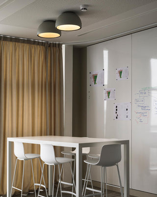 Duo Dual-Tone Dome Ceiling Light